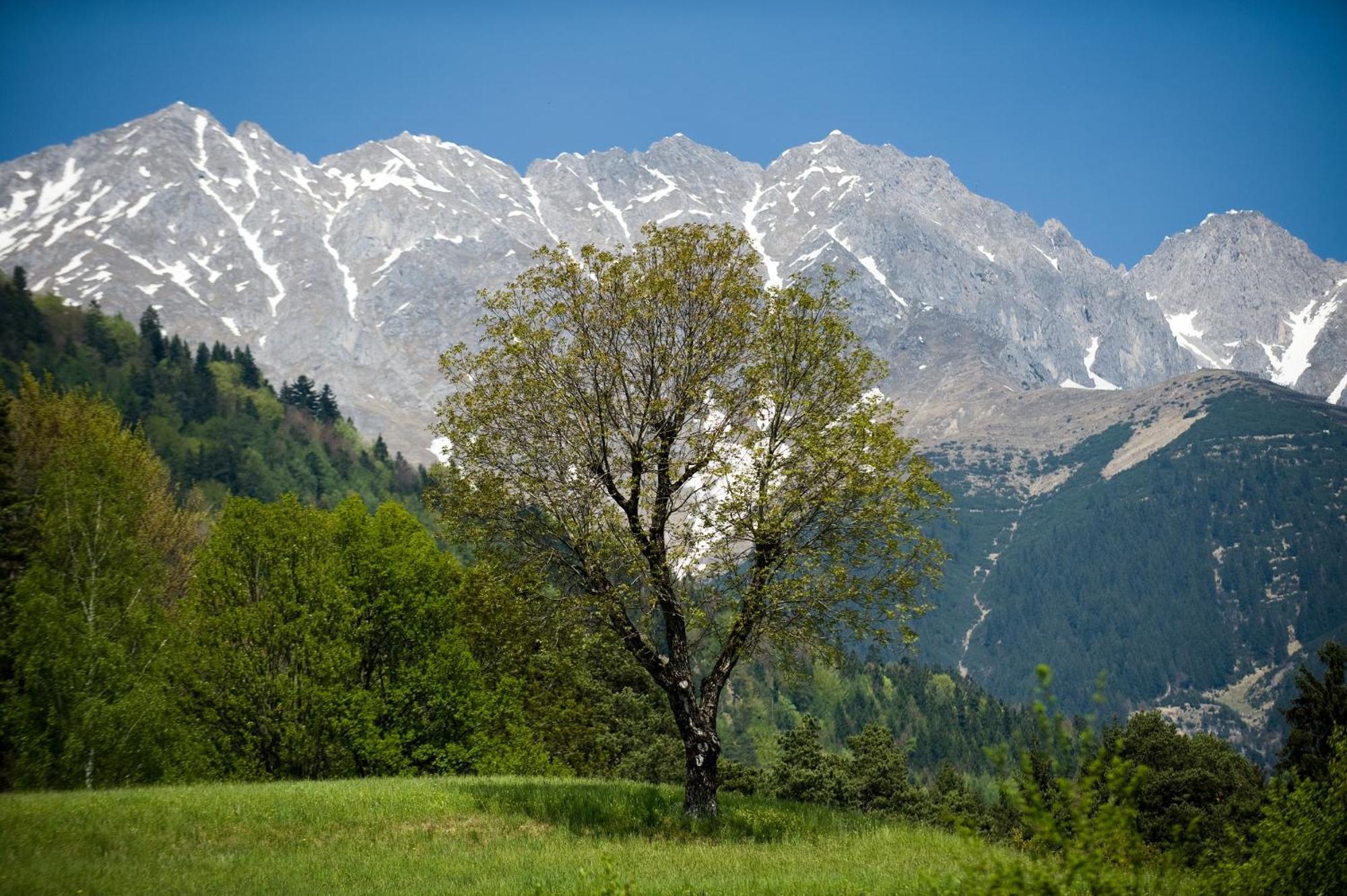"Innsbruck Moments" Kasperhof Appartements Eksteriør bilde